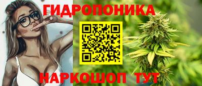jwh Каменск-Шахтинский