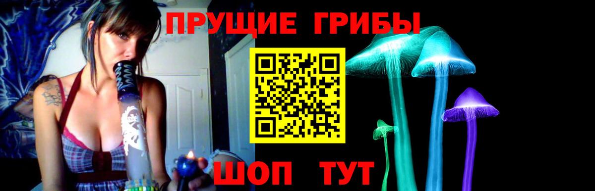 Псилоцибиновые грибы Magic Shrooms  сколько стоит  Бийск  Псилоцибиновые грибы Cubensis  Вход с VPN 